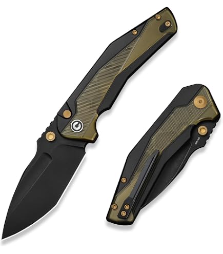 Amazon.com: CIVIVI Anthropos Flipper Pocket Knife Black